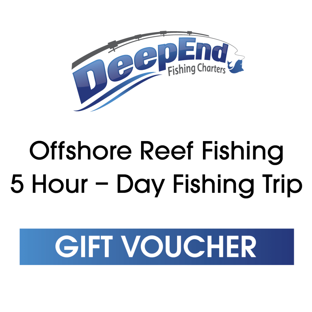 5-hour-reef-fishing-deep-end-fishing