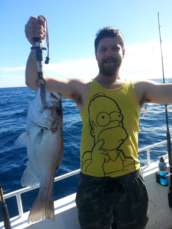 Large fish caught off the Sunshine Coast on a Mooloolaba Fishing Charter