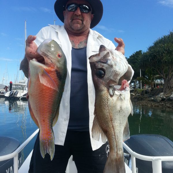 The Catch of the day on a Sunshine Coast fishing tour