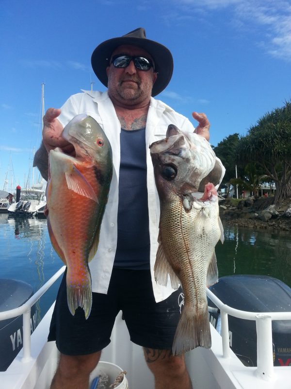 The Catch of the day on a Sunshine Coast fishing tour