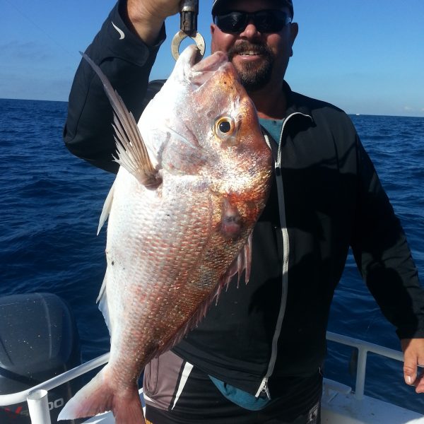 Sunshine Coast fishing charters