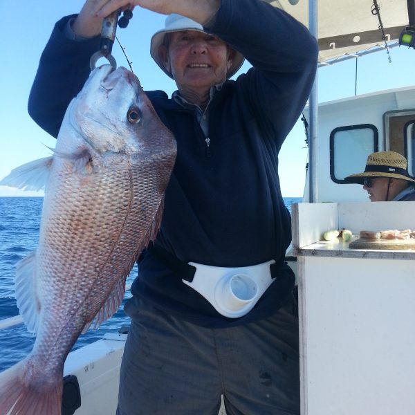 Snapper caught off Mooloolaba on the Sunshine Coast on a reef fishing charter