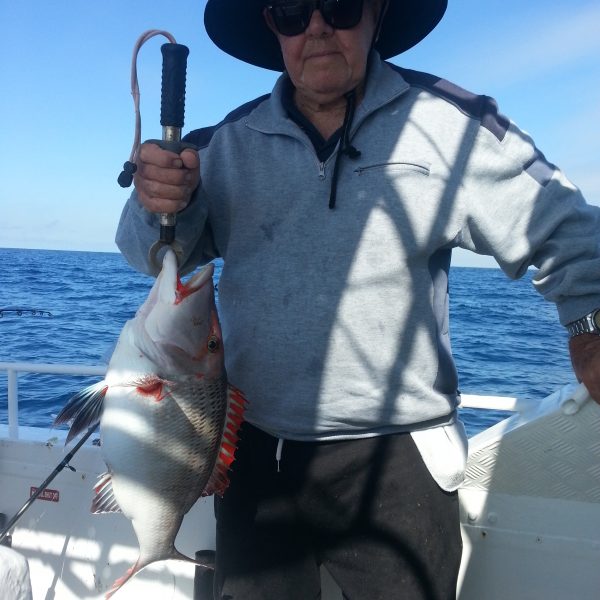 Mooloolaba fishing charters catch of the day.