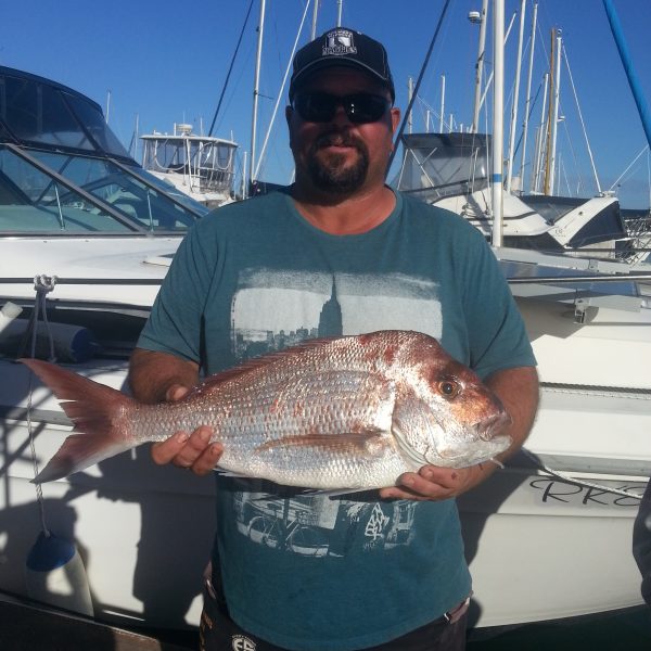 Catching fish on a Sunshine Coast reef fishing charter