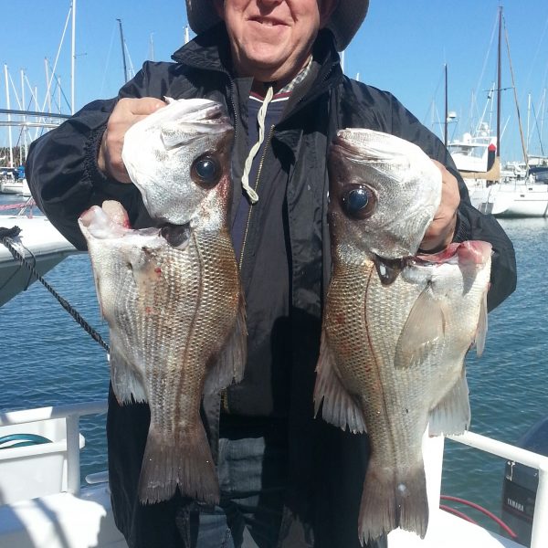 Reef fishing charters on the Sunshine Coast