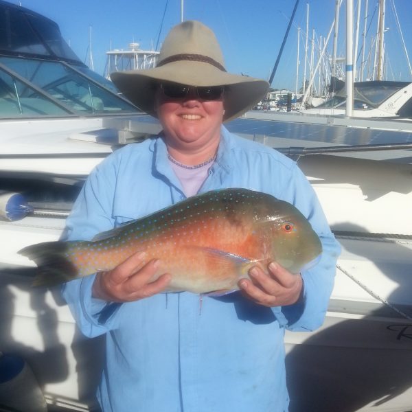 Reef fishing on the Sunshine Coast