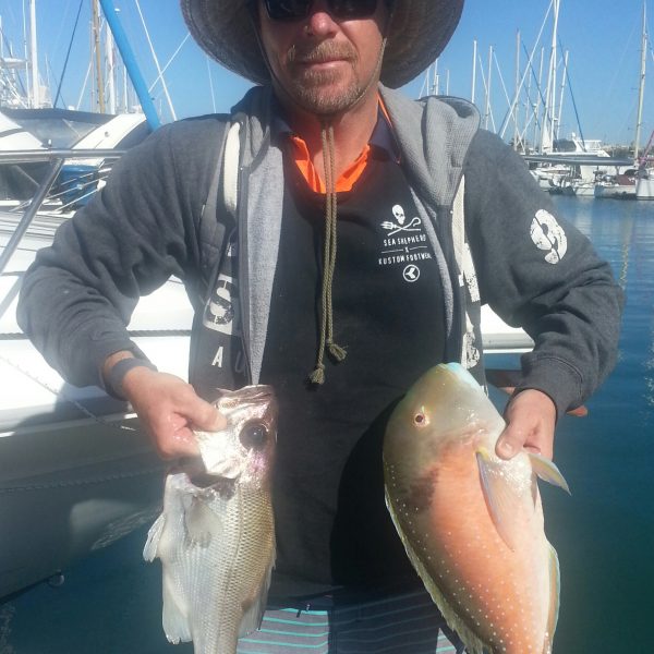 Catching fish on the Sunshine Coast