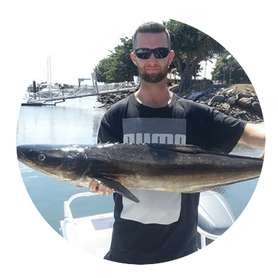 Cobia caught on the Sunshine Coast