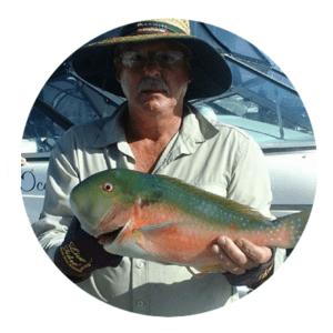 Sunshine Coast Tusk Fish - Deep End Fishing