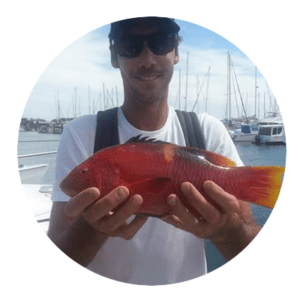 Wrasse caught off the Sunshine Coast