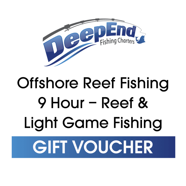 9 Hour Reef Fishing Charter